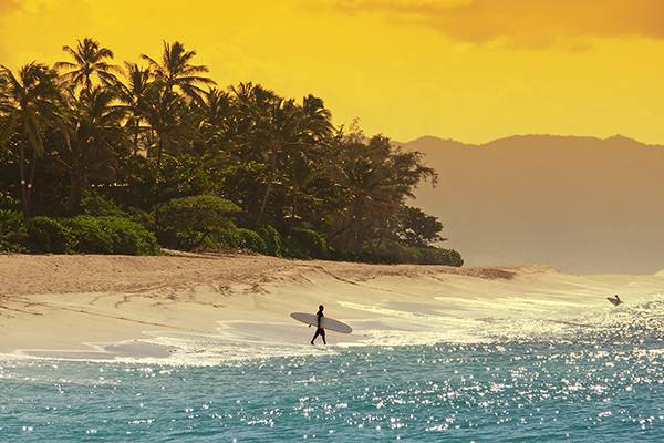 Beliebter Strand und hohe Wellen in Hawaii ist ein Traum vieler Surfer. Südsee Kreuzfahrt jetzt buchen!  