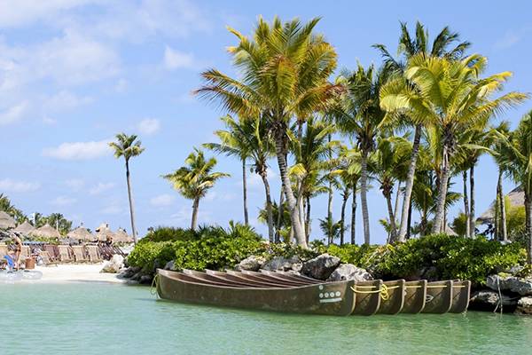 Bahamas Palmen und Gewässer in der schönen Natur. 