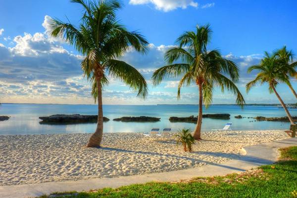 Der Abaco Strand in den Bahamas (Karibik) mit Carnival Cruise Line entdecken.