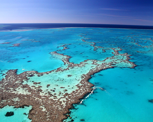 Great Barrier Reef