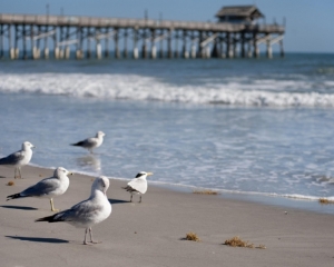 Jacksonville