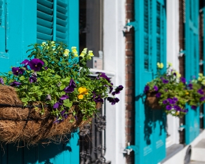 New Orleans